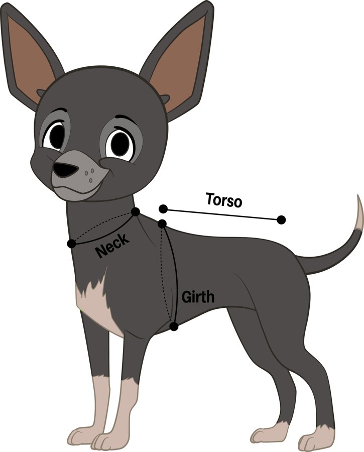 Diagram showing where to measure a dog's neck, girth and torso